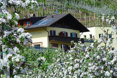 Obst- und Weinbauhof Oberbrunnhof